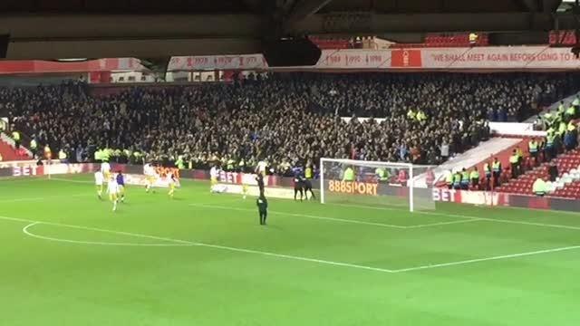 Sheffield Wednesday fans and players celebrate victory over Nottingham Forest