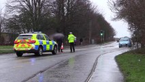Peterborough teenager injured in collision