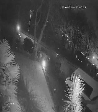 Vandals caught on camera kicking wing mirrors off cars