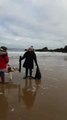 Group of people rescue seal pup at South Shields