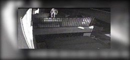 Operation Prometheus CCTV footage released