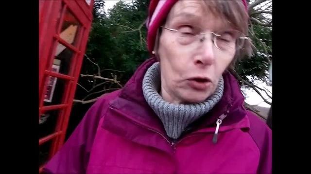 Residents fight to save telephone boxes in Burgess Hill