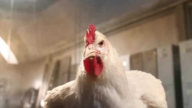 Most complained about adverts - KFC