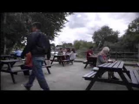 Most complained about adverts - Maltesers