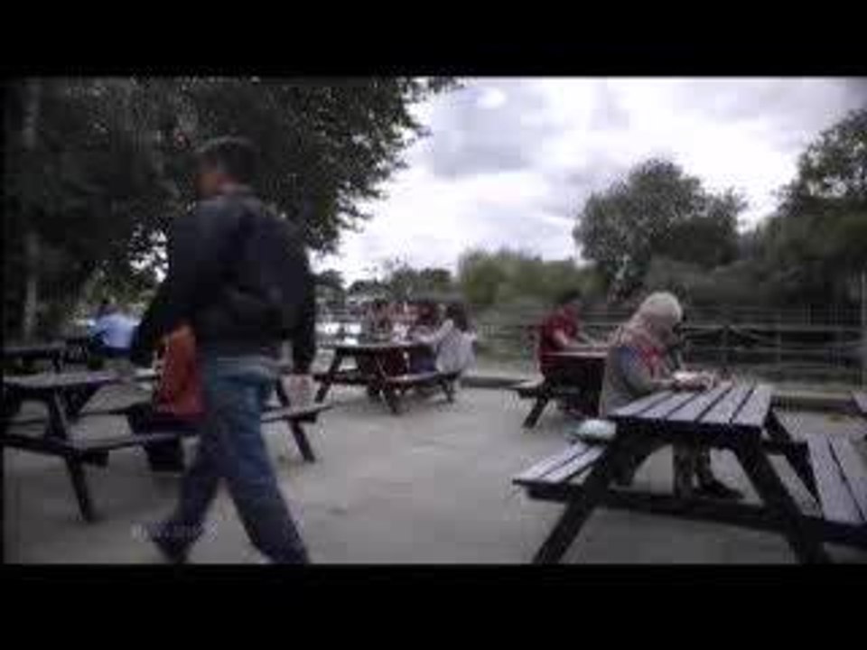 Most complained about adverts - Maltesers