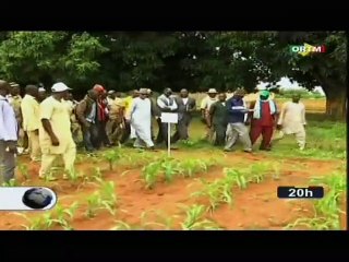 ORTM/Edition de 20H du JT du Lundi 15 Juillet 2019