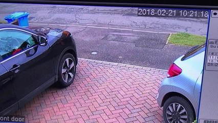 Binman leaves dog poo on resident's driveway