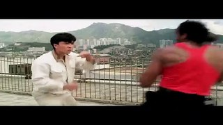 Donnie Yen vs. Michael Woods