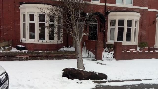 Beast from the East hits North Tyneside