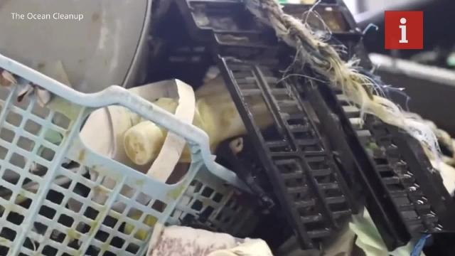 Huge plastic waste island in Pacific ocean now twice the size of France