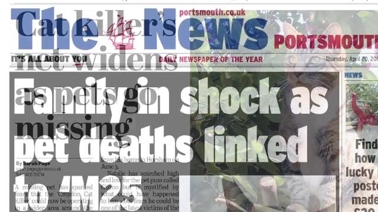 Video : m25 Cat Kill Timeline