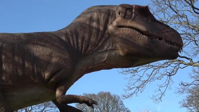 Jurassic Kingdom roars into Edinburgh