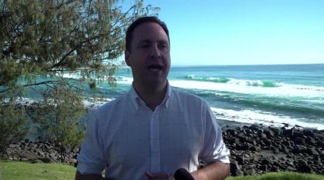 Brownlee brothers go surfing