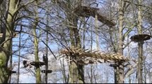 Go Ape construction Temple Newsam