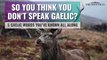 5 Everyday Gaelic Words
