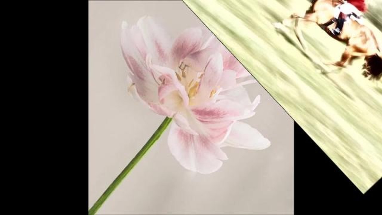 storrington camera club