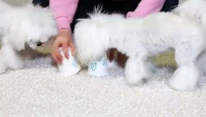 대덕출장안마 -후불100%ョØ1ØE6814E3375｛카톡VR19｝ 대덕전지역출장안마 대덕오피걸 대덕출장마사지 대덕안마 대덕출장마사지 대덕콜걸샵→☞≪