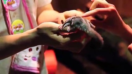 보령출장아로마≑보령출장안마 -후불100%ョØ1ØA2997A5327｛카톡KC789｝ 보령전지역출장안마 보령오피걸 보령출장마사지 보령안마 보령출장마사지 보령콜걸샵φχψ