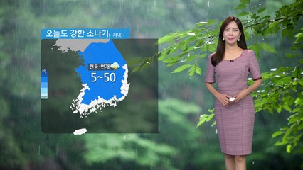 [날씨] 오늘도 강한 소나기...천둥·번개 동반 / YTN
