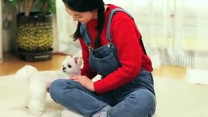 신안출장아로마≑신안출장안마 -후불100%ョØ7ØS7301S9649｛카톡CS69｝ 신안전지역출장안마 신안오피걸 신안출장마사지 신안안마 신안출장마사지 신안콜걸샵ОПР