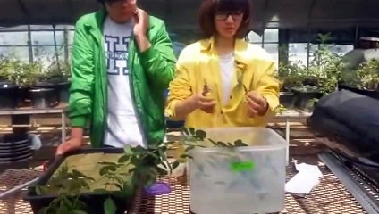 상당구출장안마 -후불100%ョØ7ØS7301S9649｛카톡LA666｝ 상당구전지역출장안마 상당구오피걸 상당구출장마사지 상당구안마 상당구출장마사지 상당구콜걸샵◆↓∈