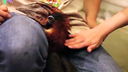 애월출장안마 -후불100%ョØ7ØA7575A0069｛카톡RD654｝ 애월전지역출장안마 애월오피걸 애월출장마사지 애월안마 애월출장마사지 애월콜걸샵ヂッツ