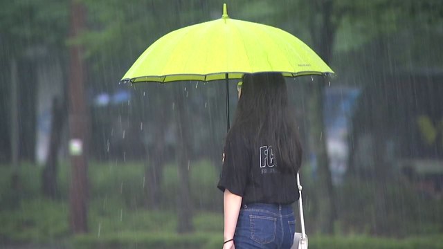 [날씨] 무더위 속 강한 소나기...내일 남부 장맛비 / YTN