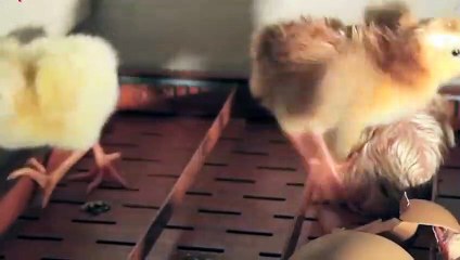 덕양구출장안마 -후불100%ョØ7ØS7301S9649｛카톡LA25｝ 덕양구전지역출장안마 덕양구오피걸 덕양구출장마사지 덕양구안마 덕양구출장마사지 덕양구콜걸샵ぺほま