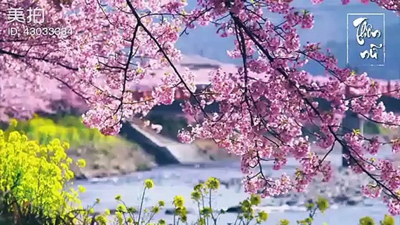 Trù Nam Vương Nhất Đao