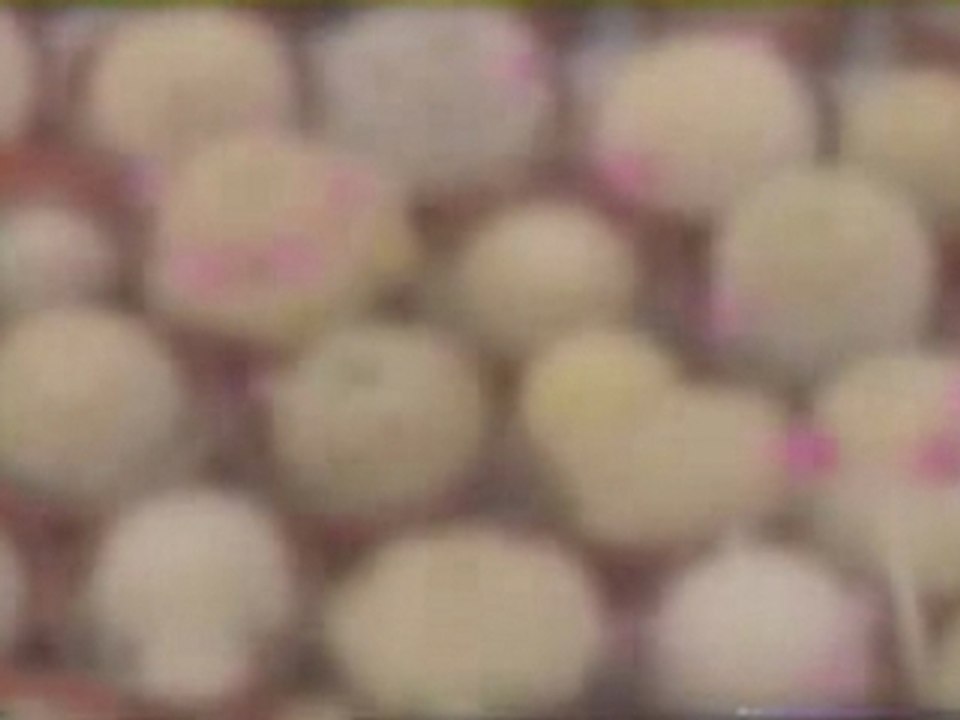 Émission cactus TF1 du 4 avril 2001