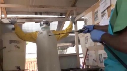 Эбола в большом городе