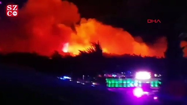 Hırvatistan'da orman yangını 10 bin kişi tahliye edildi