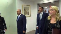 - Bakan Çavuşoğlu, Makedonyalı mevkidaşı Dimitrov ile heyetlerarası görüşme gerçekleştirdi