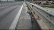 Kaloi mes për mes urës së Golemit, automjeti përplasën për vdekje 38 vjeçaren nga Berati