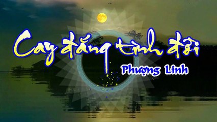 [Karaoke] CAY ĐẮNG TÌNH ĐỜI - Phượng Linh (Giọng Nam)