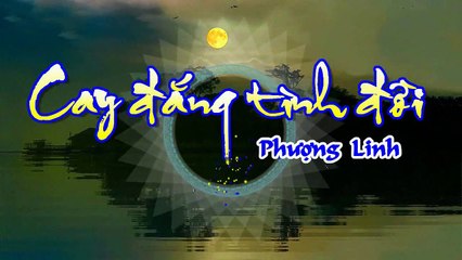 [Karaoke] CAY ĐẮNG TÌNH ĐỜI - Phượng Linh (Giọng Nữ)