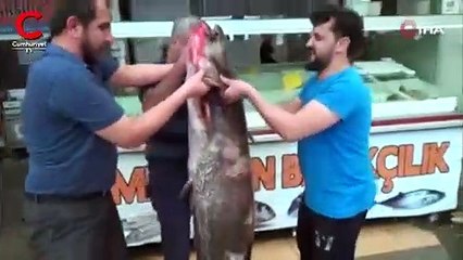 Ağırlığı 100 kilo, boyu 2 metre