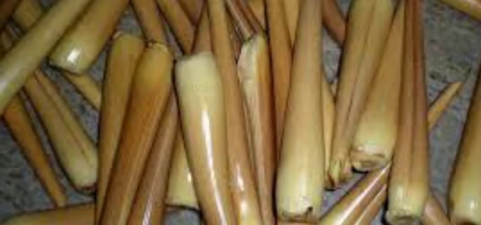 Benefits Of panagkizhangu In tamil _ panangkizhangu Uses In tamil _ Health Tips In tamil