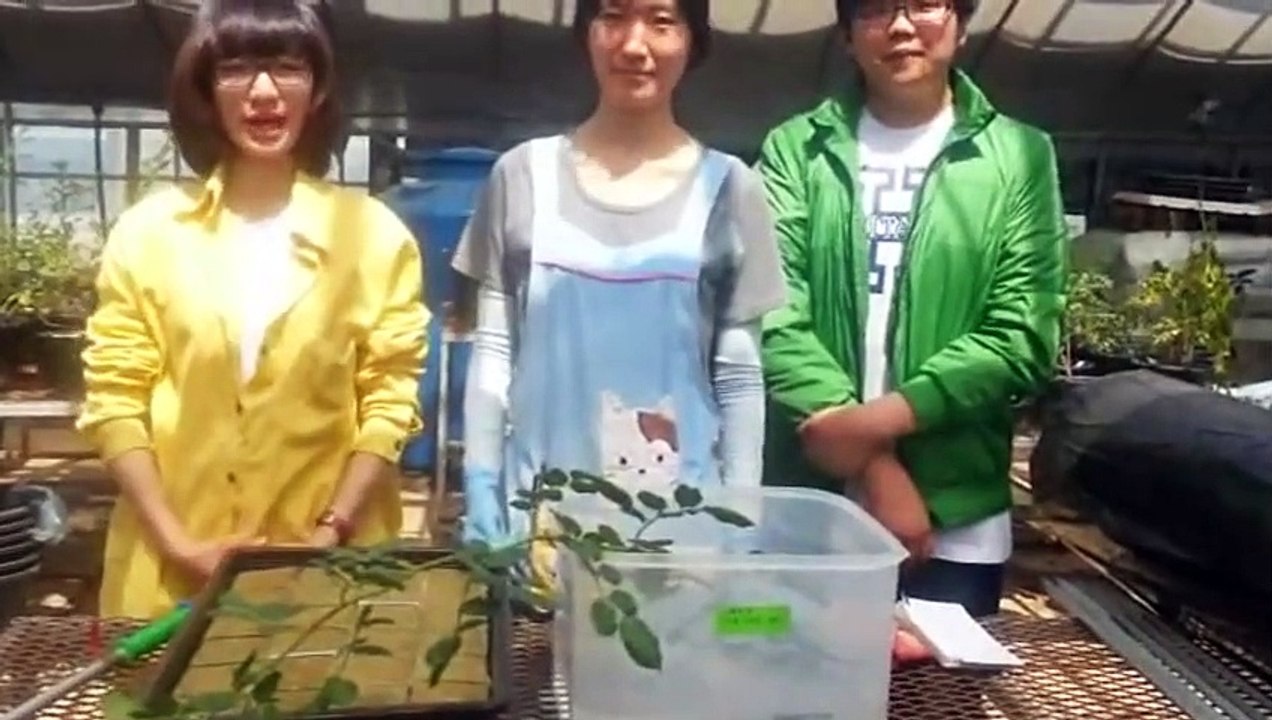 계룡출장안마 -후불100%ョØ1ØE7362E3210｛카톡RQ43｝ 계룡전지역출장안마 계룡오피걸 계룡출장마사지 계룡안마 계룡출장마사지 계룡콜걸샵ぇえぉ