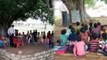 25 साल से पीपल के पेड़ के नीचे चल रहा सरकारी स्कूल, बारिश में सताता  है  सांप—बिच्छू का डर