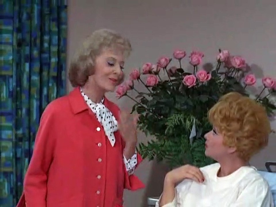 The Lucy Show: Lucy Sues Mooney