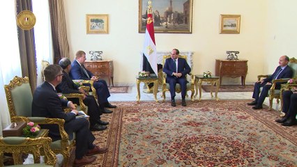 اجتماع السيسي بنائب رئيس غرفة التجارة الأمريكية