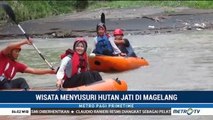 Wisata Menyusuri Hutan Jati di Magelang