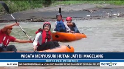 Wisata Menyusuri Hutan Jati di Magelang