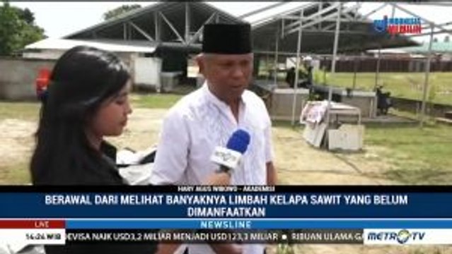 Pakan Ternak dari Limbah Kelapa Sawit