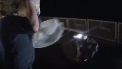 HMS Dragon drugs bust