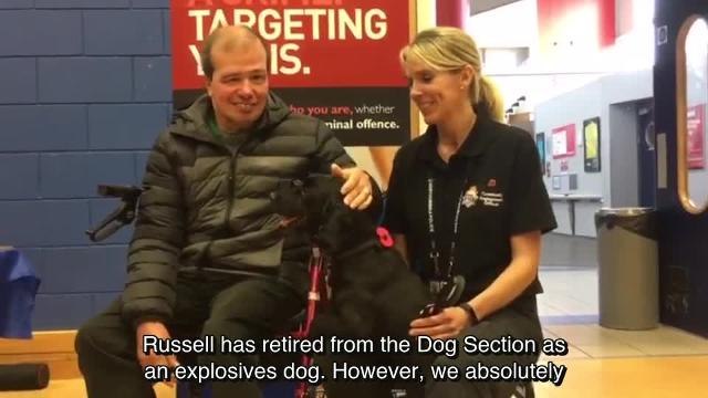 Russell the Northumbria Police community dog