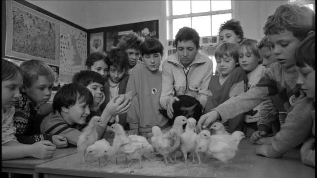 Sunderland December 1986 retro gallery