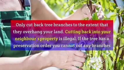 Noise neighbour laws