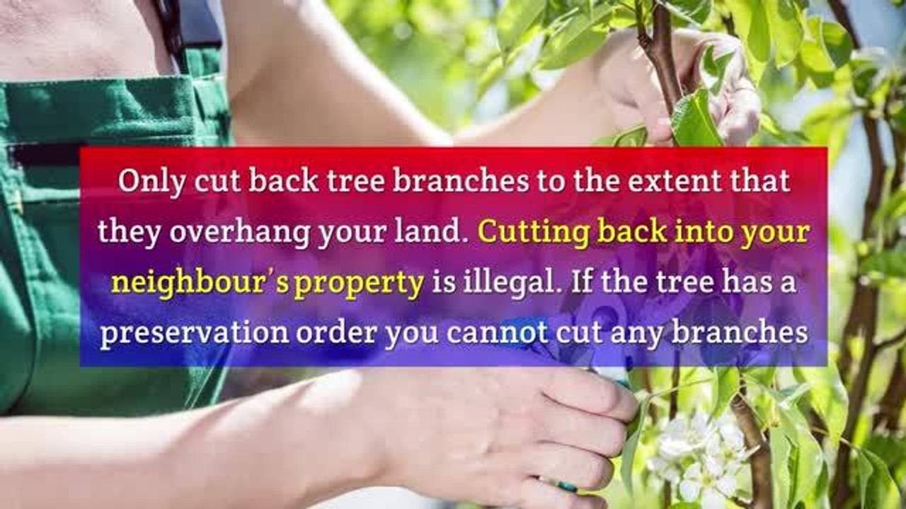 Noise neighbour laws